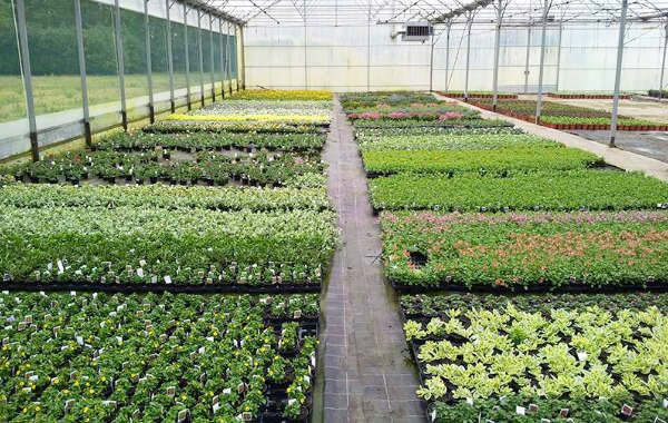 صناع الجمال!🌳🌿

خالك في البيت و نوصلك جميع أنواع الزهور والأشجار إلين عندك"مجانآ" 

امنحنا ثقتك ولا تتردد في التواصل معنا
0563731399

#رتبوا_الصاله_الشتاء_بالطريق