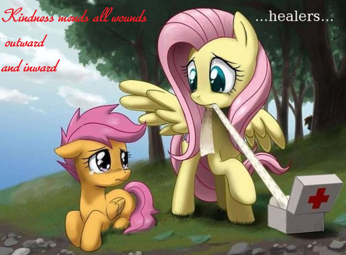 dddoey's tweet photo. Kindness mends all wounds, outward, and inward - Fluttershy #MLPFiM #kindness https://t.co/WqC1e3XFJS