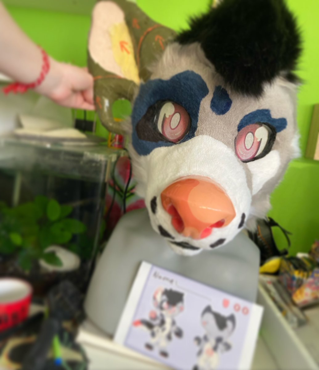 TreeDr4g0n's tweet photo. A wip of the new premade ~ #furry #furrywip #fursuit #fursuitwip #wipfursuit #workinprogress #fursuitworkinprogress #fursuitmaker #fursuitmakerwip #premadefursuit #premadefursuitwip #wip #dogfursuit https://t.co/TQaqbKlwIS