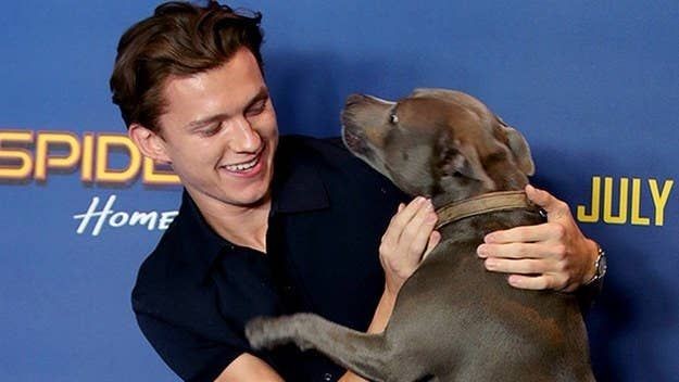 these two🥺🤏🏼