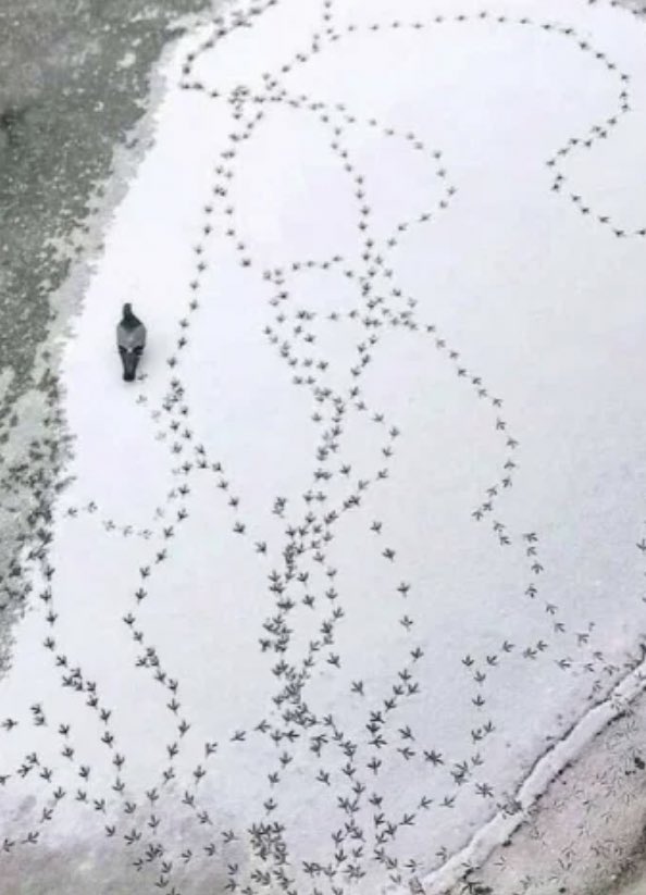 carboncaitlin's tweet photo. i want to know the phonecall he's having rn https://t.co/loGwhHTswq