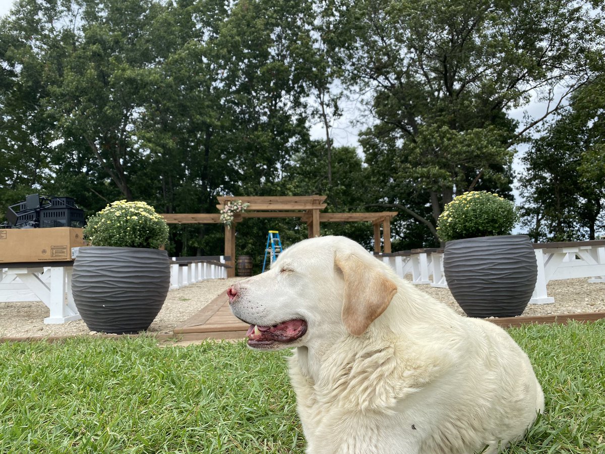 twingablesevent's tweet photo. Bud followed me pretty close today. https://t.co/ER1FAcWzDF