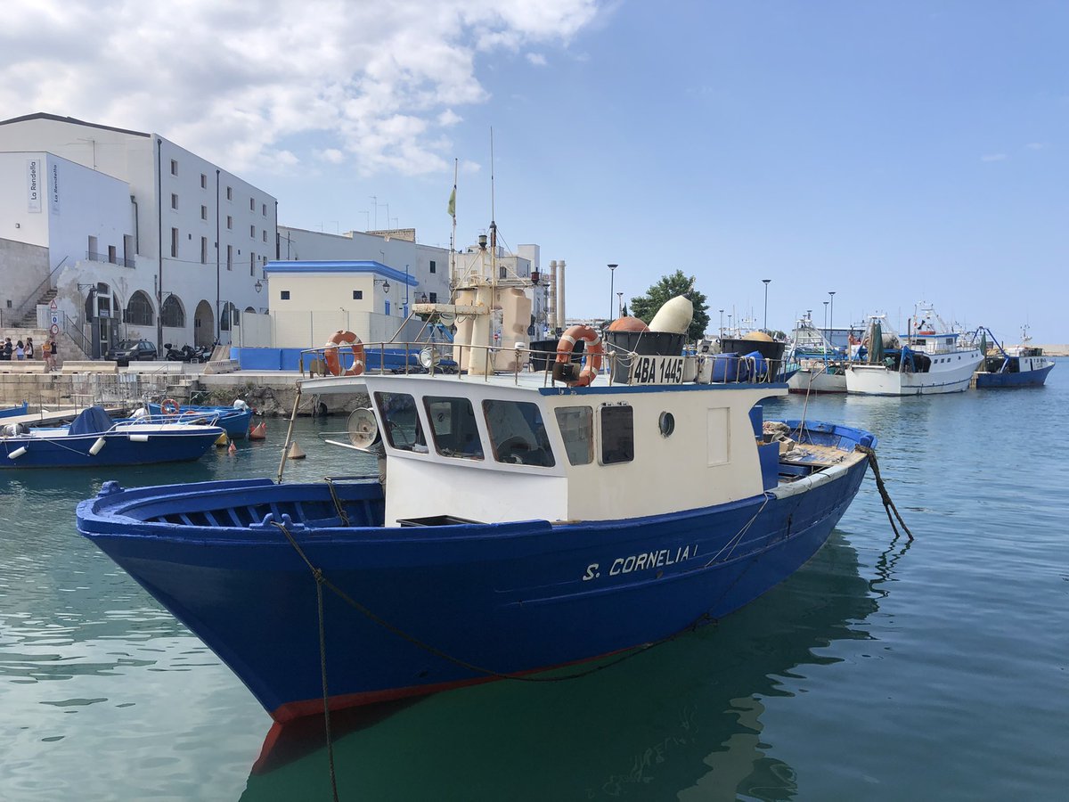 cittameridiane's tweet photo. Una passeggiata a #Monopoli ha sempre il suo perché #Phest @A_un_cucchiaio @rivogliobarbie @PinneInViaggio @donnaalcontr @Assaggidiviaggi @viaggimperfetti @LucaPery @fiveintravel @Quantomanca_com @viaggiatore_npc @domanidove @marsontheroad @vidoiltiro @lemurinviaggio @strayidler https://t.co/Atcs3HDxru
