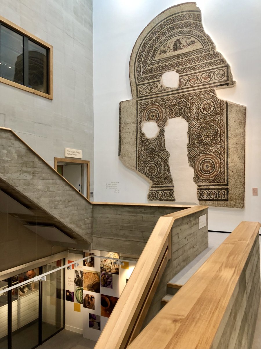 Tim Cooke tweet media