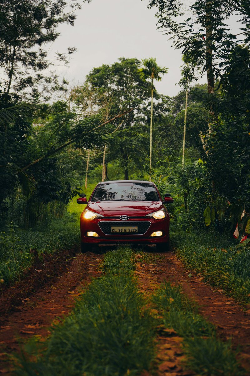 iprincejoseph's tweet photo. Traveling to a place which is unknown can be a wild unpredictable adventure from driving in to forest interested trail climbing the steep mountains that lead to some coolest view you have never seen i an unpredictable adventure.
 @HyundaiIndia @NatGeoPhotos @KeralaTourism https://t.co/zCBIEALJV2