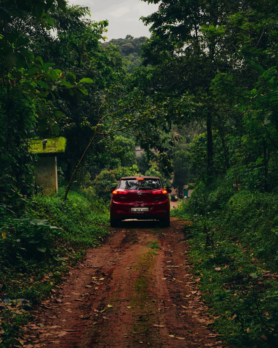 iprincejoseph's tweet photo. Traveling to a place which is unknown can be a wild unpredictable adventure from driving in to forest interested trail climbing the steep mountains that lead to some coolest view you have never seen i an unpredictable adventure.
 @HyundaiIndia @NatGeoPhotos @KeralaTourism https://t.co/zCBIEALJV2