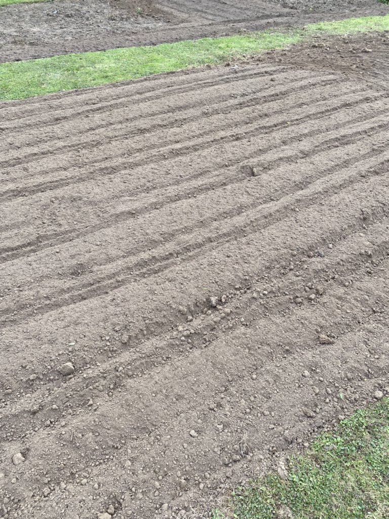 IrisesSeagate's tweet photo. It’s busy on the nursery lifting orders as well as preparing the bigger beds to replant again, so much potential in a bare bed! #replant #irisbeds #lifting #orders #potential #flowerpower #renovationproject #nurserylife #beardedirises #irislove #fieldgrown https://t.co/PNUqCmetpO