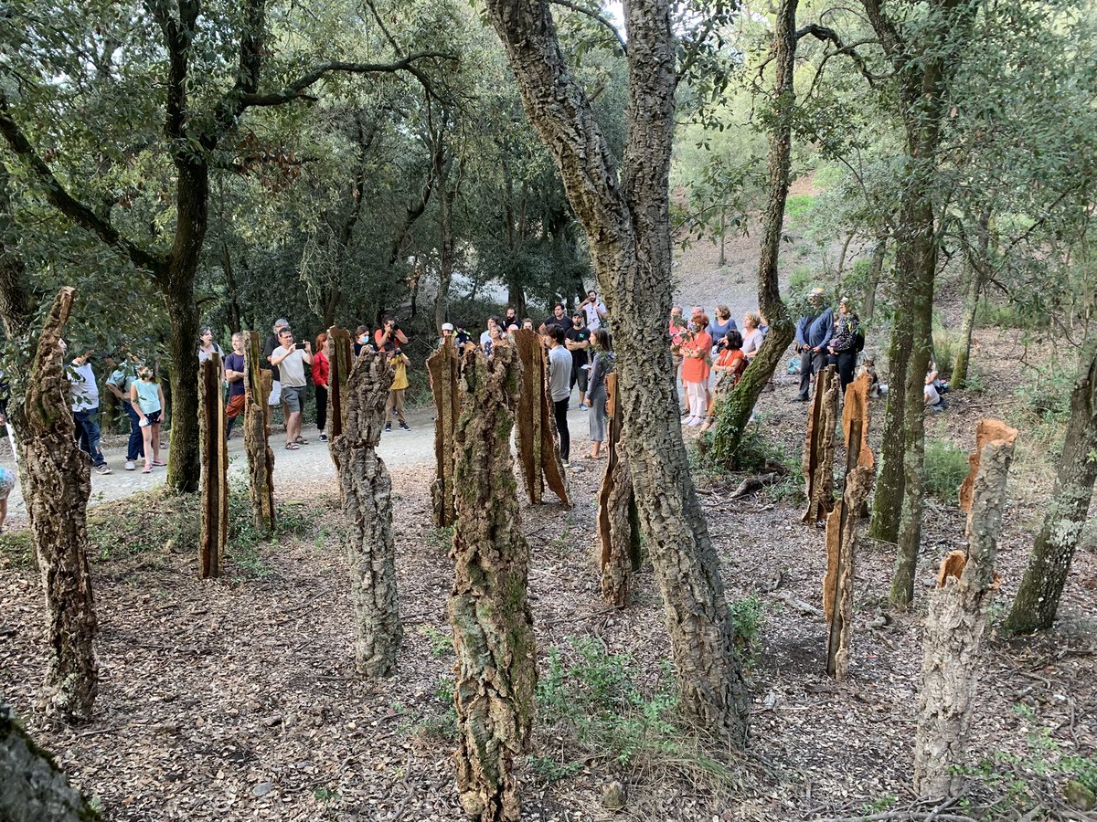 cgavarres's tweet photo. Acabem el dia a #Fitor, al terme municipal de #Forallac, després de passar per #Celrà, #Girona, #CassàdelaSelva i #Llagostera, gaudint de la #natura i del treball artístic del Festival #ArtiGavarres. 
👀👉https://t.co/9t2juECuiv https://t.co/9Talg846lO