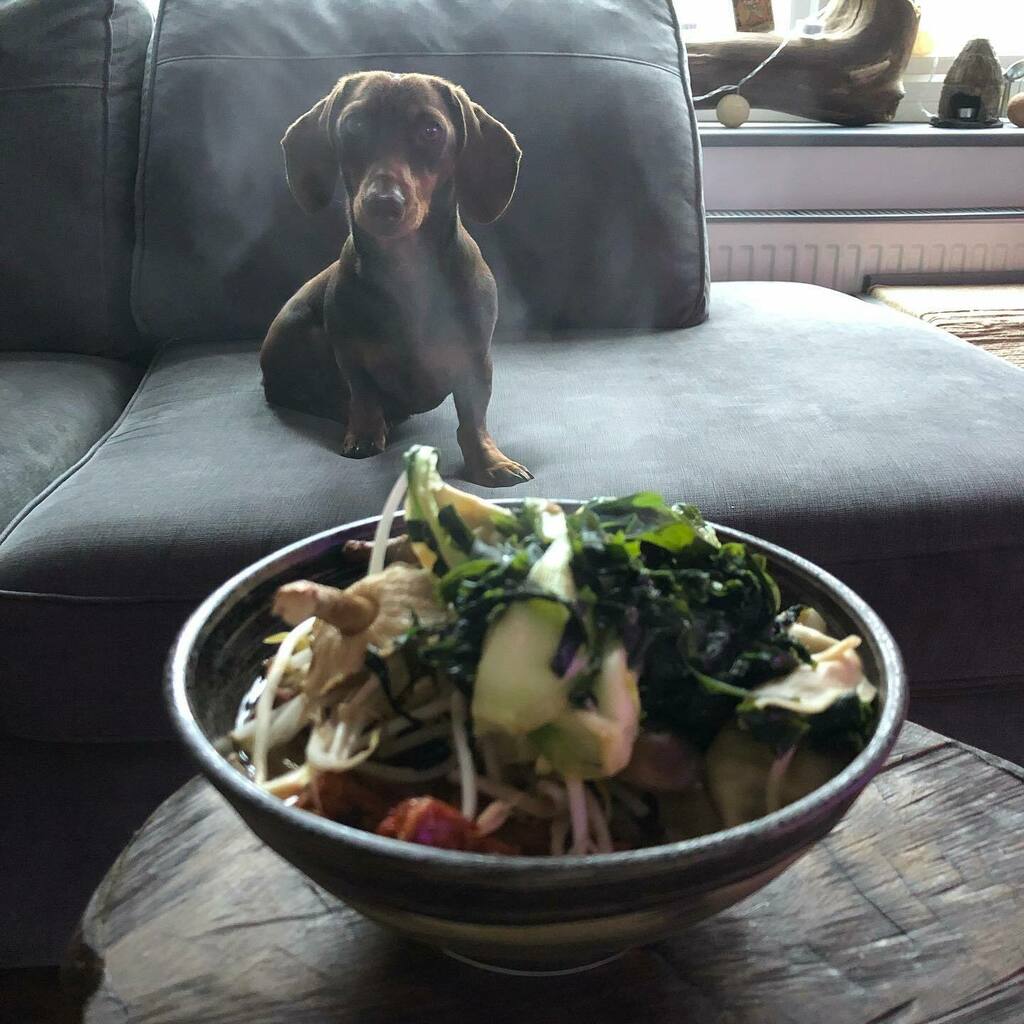 Ramen 🍜 with veg gyoza, tempeh, pak Choi, bean sprouts, kimchi, Wakame seaweed and a miso broth 
•
#vegan #plantbased #veganrecipes #veganrecipes #homemade #homecook #homecooking #cookingastorm #foodporn #healthy #healthylifestyle #weewoo #thatwookit… instagr.am/p/CTaKhAximln/
