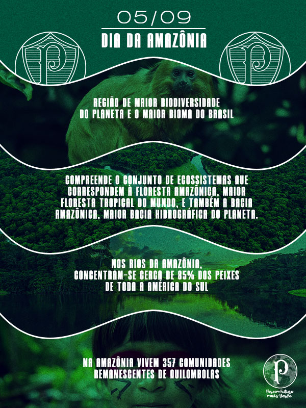 Neste #DiaDaAmazônia, reforçamos a importância de cuidar da maior floresta tropical do mundo e um dos patrimônios naturais mais valiosos da humanidade 🌳

#PorUmFuturoMaisVerde 🟢💚