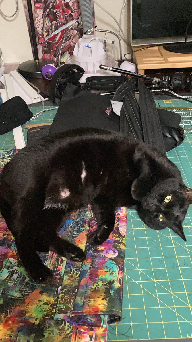 TalusAmaranth's tweet photo. Crash has decided my wife’s bag project makes a good bed. He turned 11 this year. #CatsOfTwitter #oldmancat https://t.co/ipGnYDtLc5