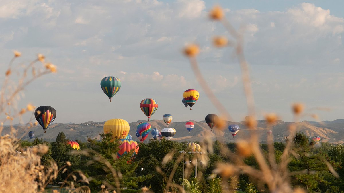 Happy Labor Day, Broncos! Celebrate the holiday weekend with a peek at some Hot Air Balloons at the Spirit of Boise 2021.
#BoiseState #GetInvolvedBSU
-
-
-
#accessibility [Photo Description: hot air balloons begin to take flight.]