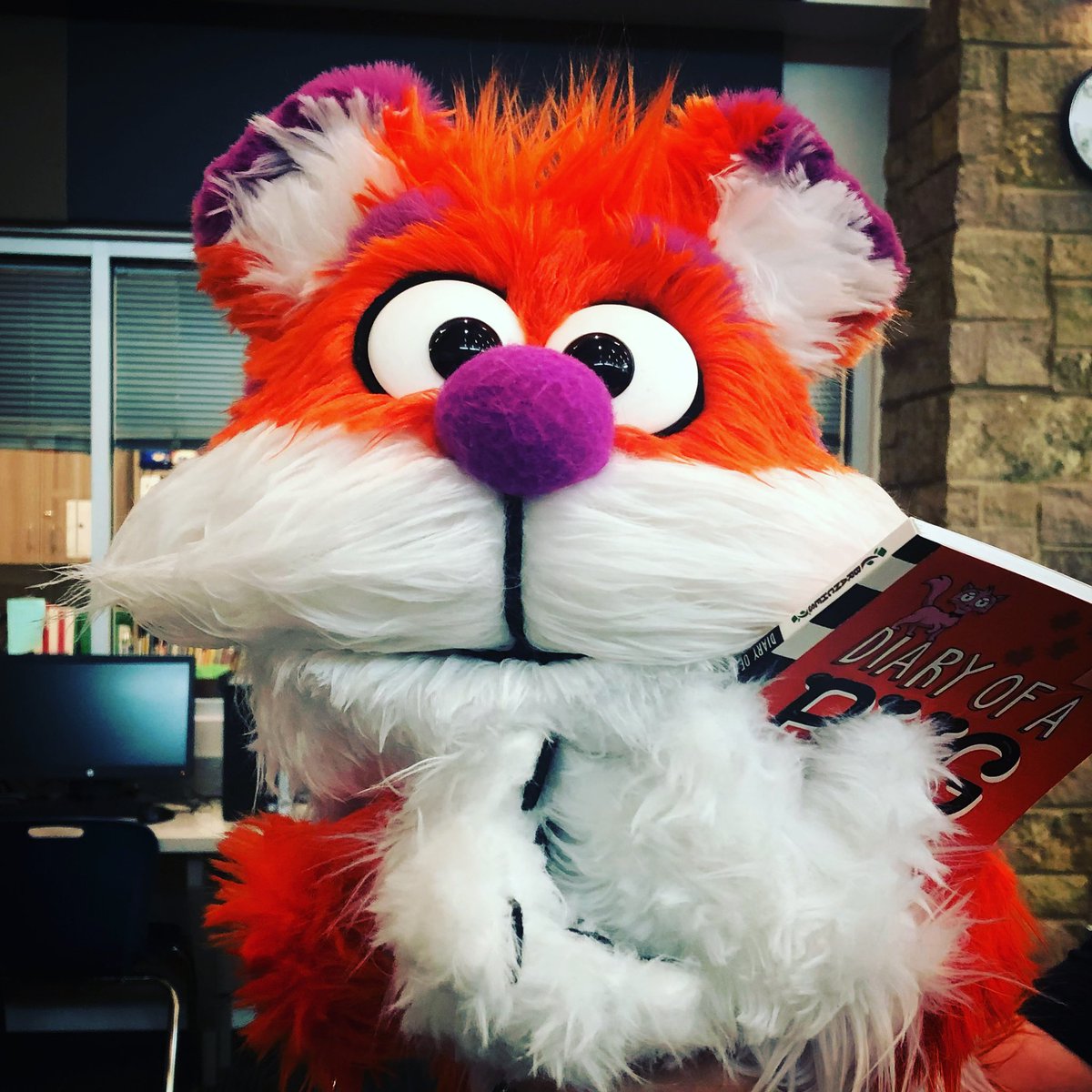 LCEMustangLib's tweet image. Come to the library to meet Charlie T. Tiger! He’s new, he loves books, and he wants to meet you! #CCISDreads #CCISDlibs @CCISDLibrary