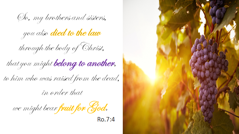 Grace_nMercy's tweet photo. Died to sin and Belonging to Christ, 
raised to new Spiritual life and bearing the fruit of obedient service to God.

https://t.co/LJluZGmOlJ
#Bible #BibleVerse #ChangeMyHeartOGod https://t.co/OM3s38aeR6