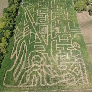 FreshAcresMn's tweet photo. Come check out our Corn Maze this Fall!  Details in the FB link here!  #HonorOurFallen 
https://t.co/j7Z0HpOgzl https://t.co/DXbicQSb3T