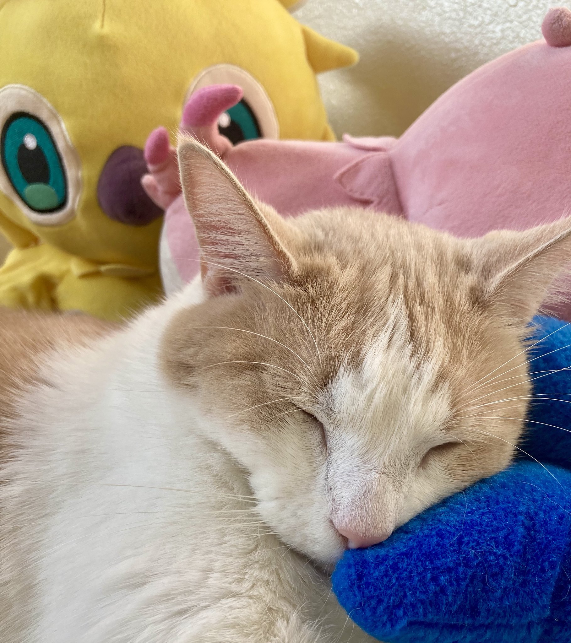 Phantasy Star Online 2 New Genesis - Global on Twitter: