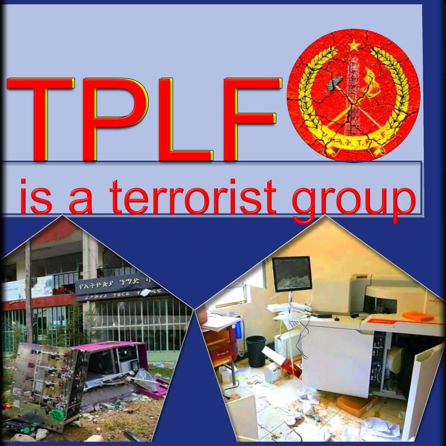 iyoba4u's tweet photo. "Militants of #TPLF killed our cattle, as they do not have time to eat all" - Residents of #DebreZebit https://t.co/VSvLJqIFd0