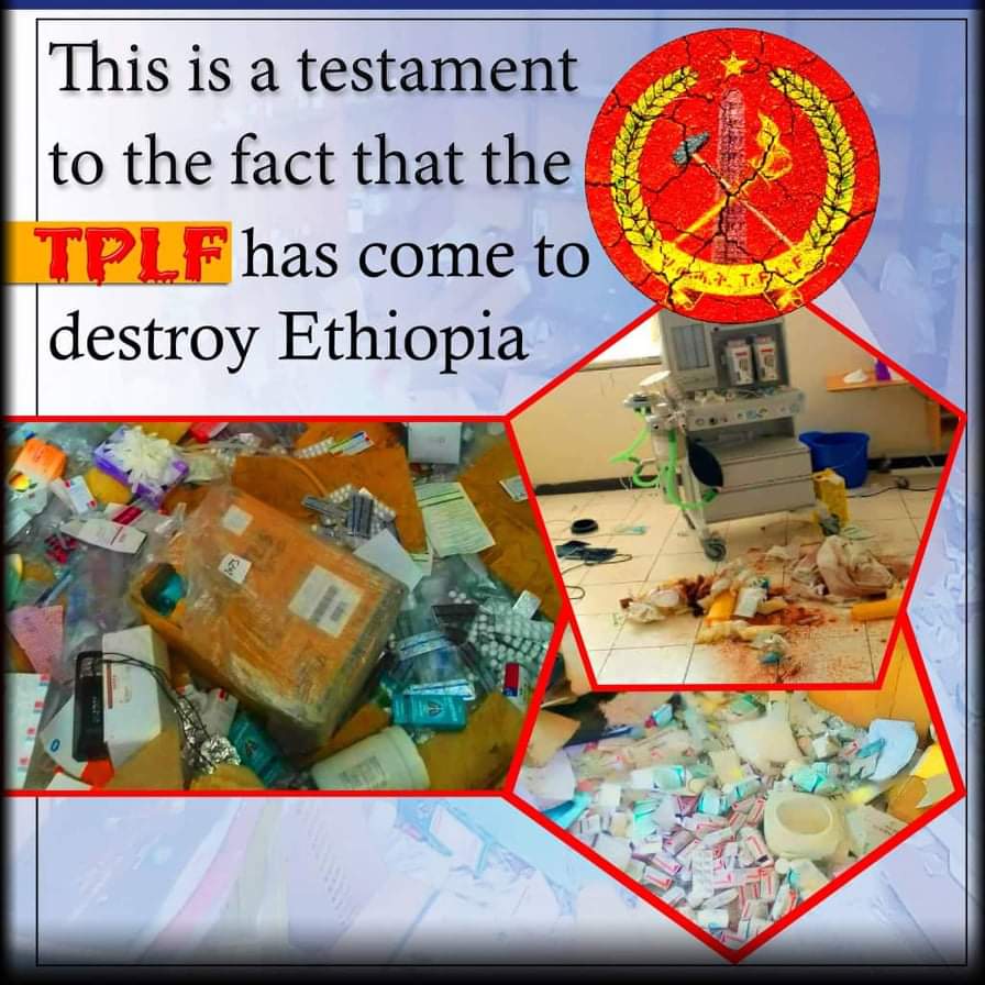 iyoba4u's tweet photo. "Militants of #TPLF killed our cattle, as they do not have time to eat all" - Residents of #DebreZebit https://t.co/VSvLJqIFd0