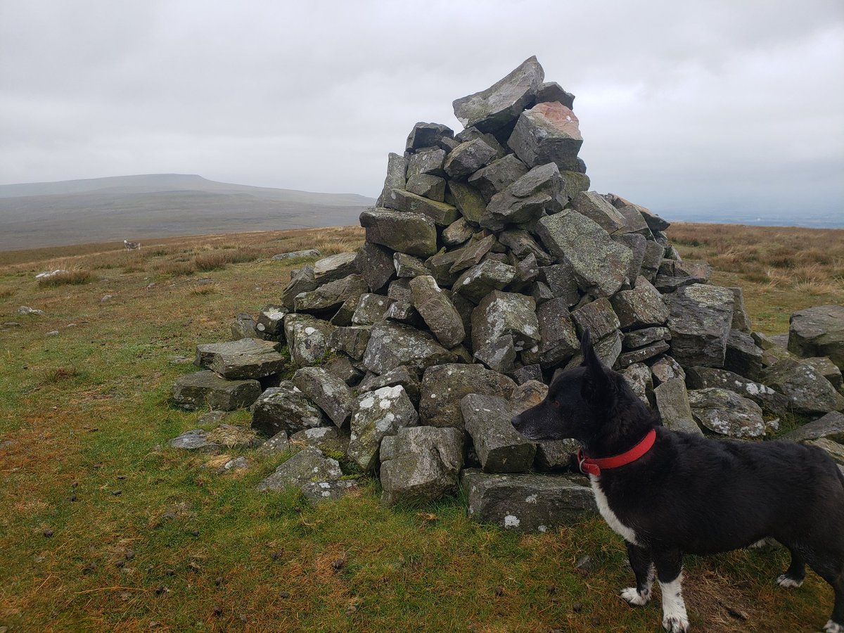 Mountainmanwang's tweet photo. @DrEdHenderson Melmerby Fell, with Cross Fell in the background today. Cracking hike and never saw a soul! 😀 https://t.co/r6cCk2G2JW