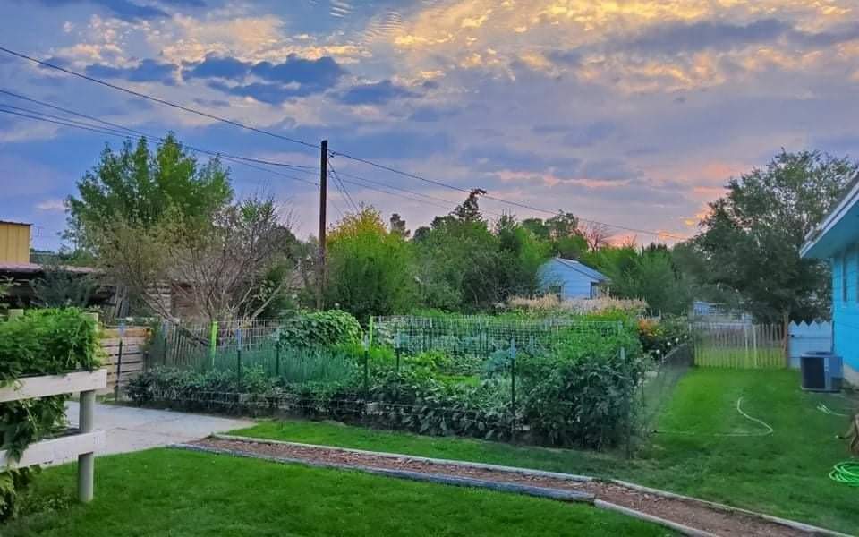 A beautiful garden planted this summer with delicious vegetables!  Taken at 5:00 a.m. ...
