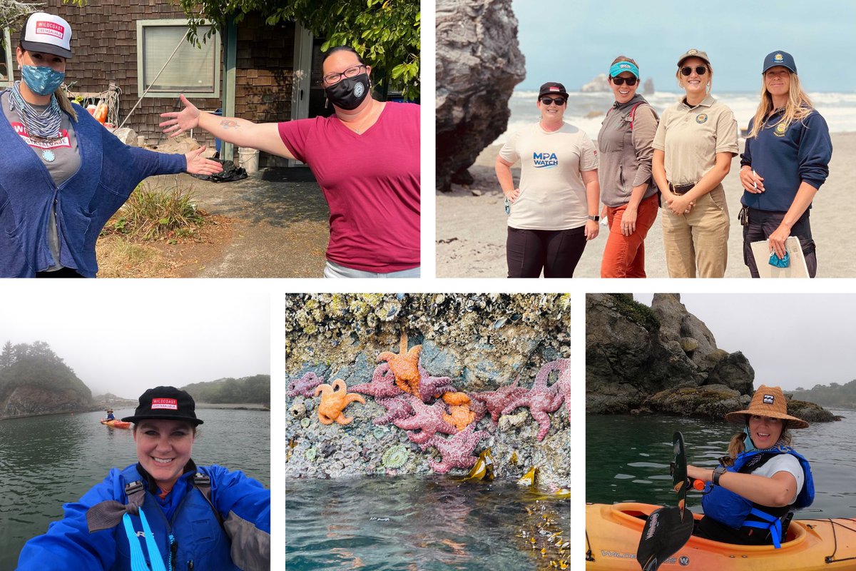Our team went to Nor Cal to meet w/ partners from <a href="/CAStateParks/">CA State Parks</a> + the MPA Watch Network <a href="/CA_MPA_CN/">Marine Protected Area Collaborative Network</a> to support healthy oceans by training volunteers to monitor human use in 70 #MarineProtectedAreas along the coast of CA (including two new sites in #Humboldt county).