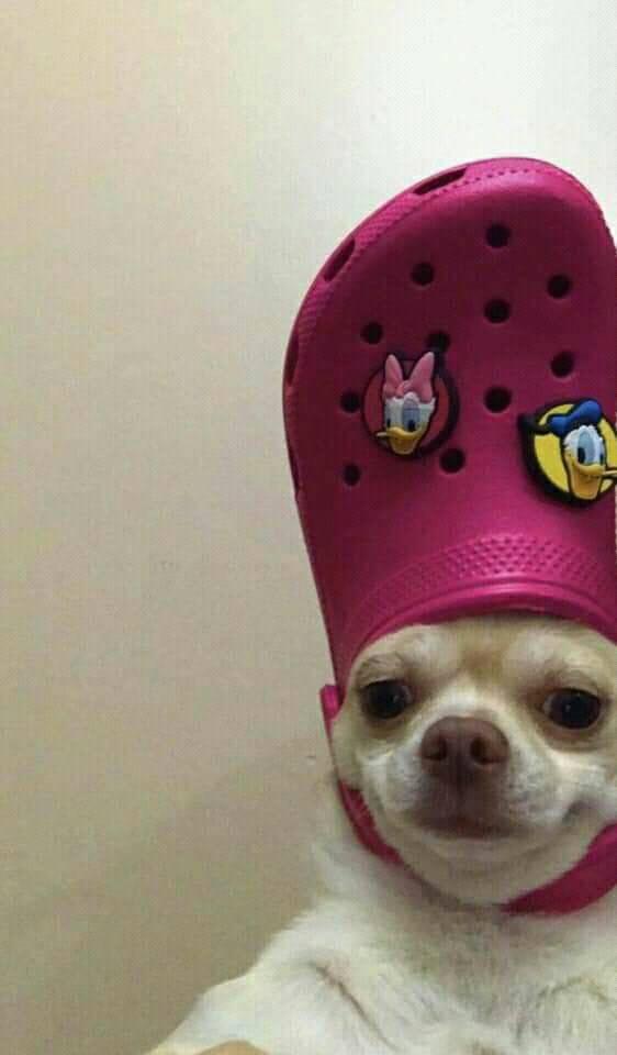 Me  promising myself to stop acting weird:

5 seconds later*