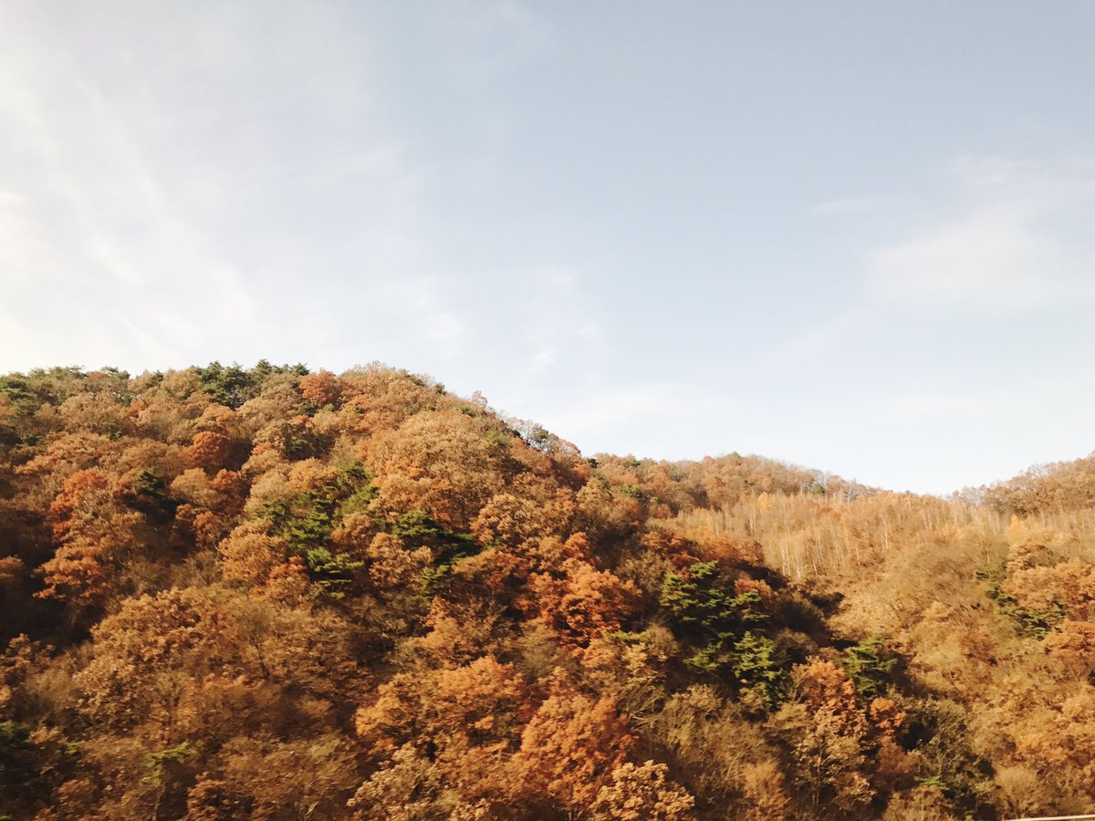 doh_nam's tweet photo. Just dropping by to say WonShim really have great skills in capturing photos. 100DMP's 3rd anniversary is fast approaching! And 3 years since our favorite couple shook the world with their amazing chemistry 💖 #DohKyungsoo #NamJihyun https://t.co/SPiaCg1yf0