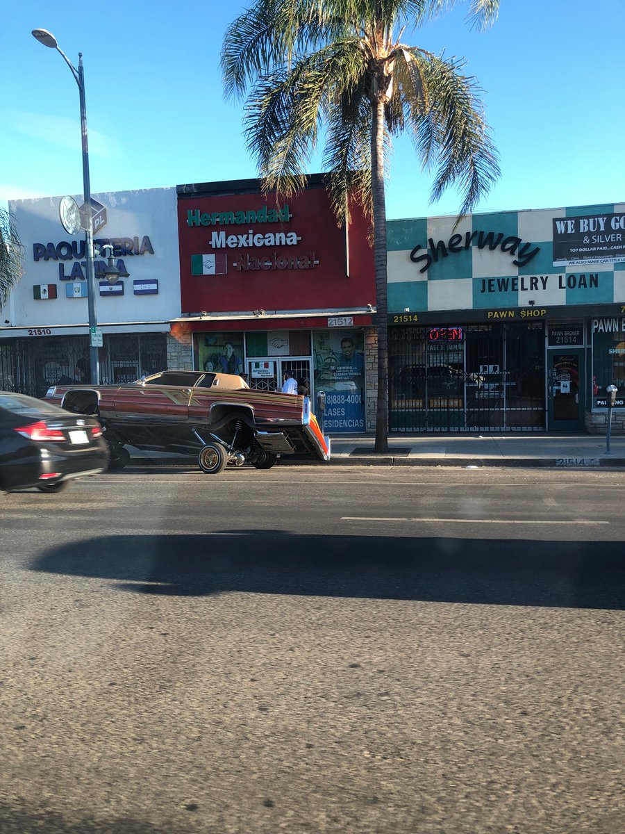 Make L.A. Great Again 🇺🇸 tweet media