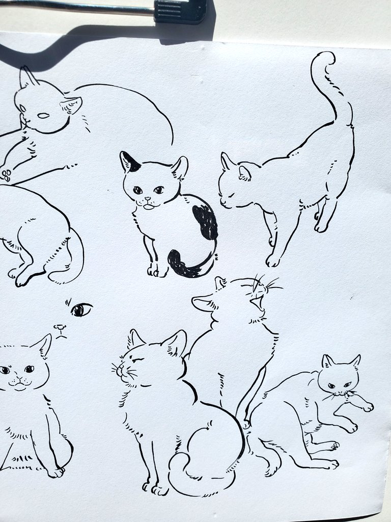 ねことこども 