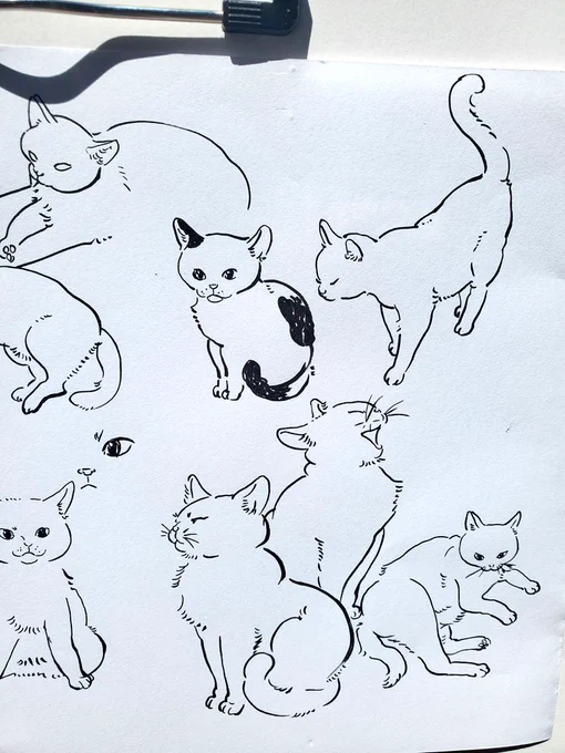 ねことこども 