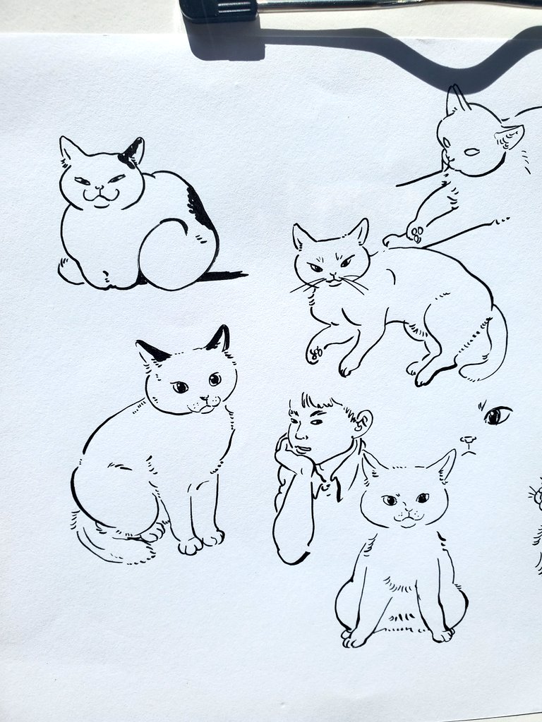 ねことこども 