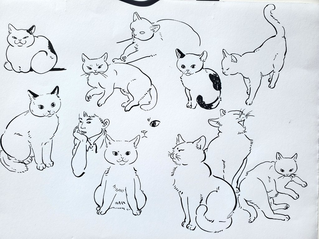 ねことこども 