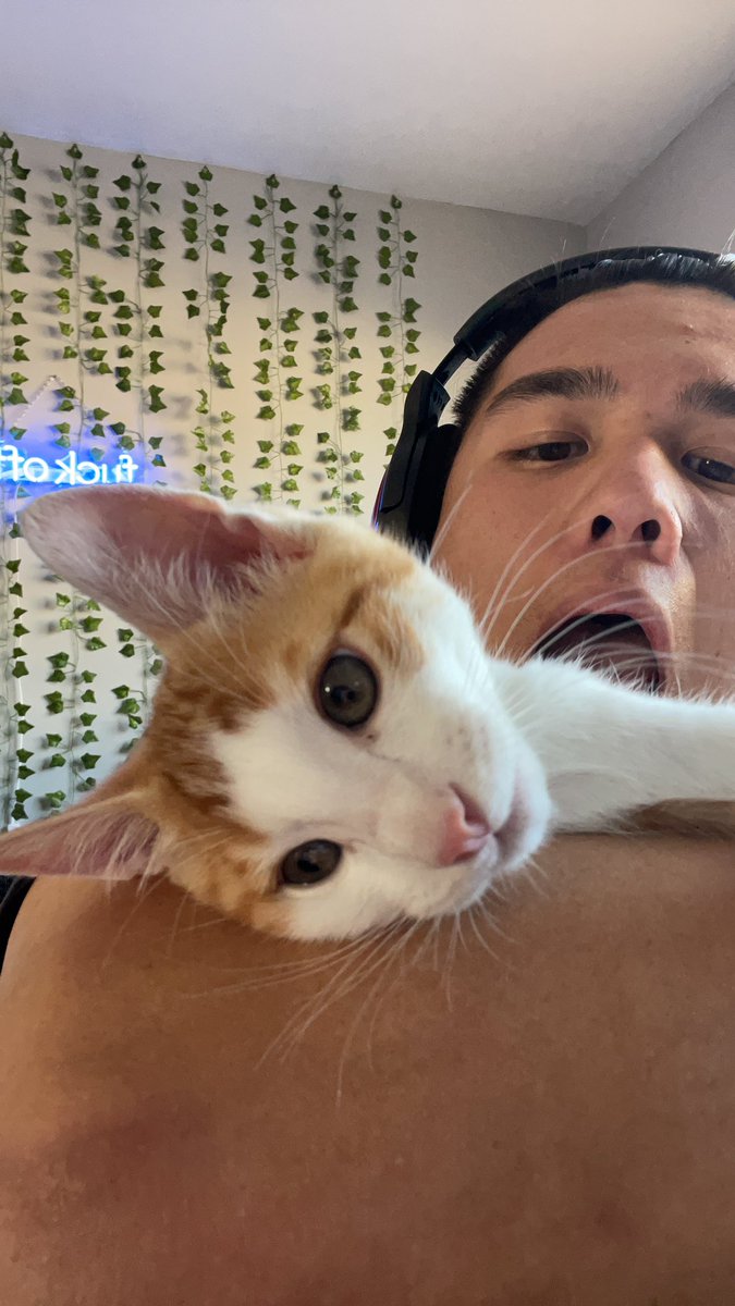 SheeeshSimon's tweet photo. if anyone wants to see Gibby

https://t.co/4VKwN3ZjAK https://t.co/bLXL7uCNM8