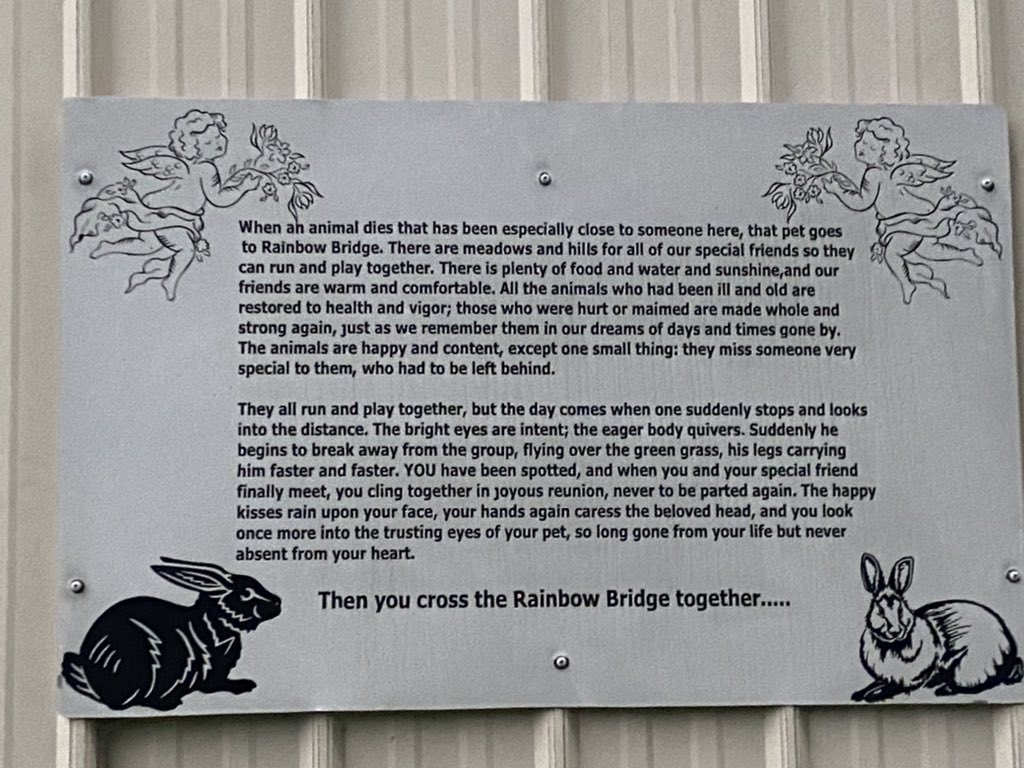 Stopped to visit #Henrysrabbitranch on <a href="/ILRoute66/">Illinois Route 66</a> #bunnies