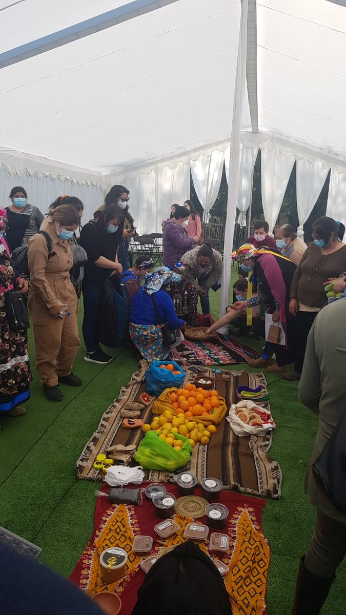 ElisaLoncon's tweet photo. Conmemoración Día internacional d la mujer indígena en Ruka Inche Tañi Mapu de Talca convocado por Parlamento Indígena del Maule, mañum por este encuentro. Además, se realizó la Cuenta Pública descentralizada y nacional a 2 meses de Convención Constitucional Rvme mañum pu lamgen. https://t.co/d53f5fowSu