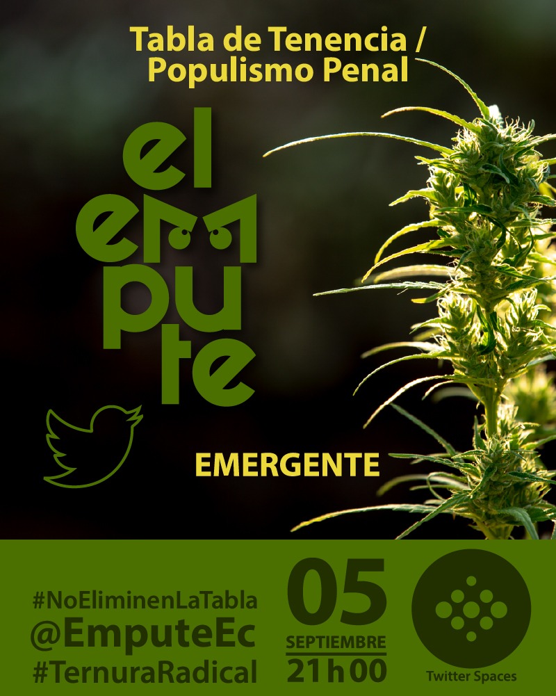 EmputeEC's tweet photo. ⭕️Este domingo 5/Sept, 9 PM tenemos #EmputeEmergente para debatir sobre la #TablaDeTenencia &amp; #PopulismoPenal 
Vamos a alzar nuestra voz #emputades por la propuesta de eliminar la tabla de tenencia máxima, conozcamos los impactos sociales que esto generaría.
#NoEliminenLaTabla https://t.co/BhOIKv5WIF