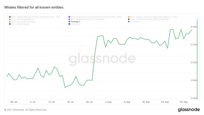 ToanGuru's tweet image. Fire Cá voi Bitcoin Spouting whale đã mua thêm +41.580 BTC (~ 2 tỷ đô la) vào tài sản của họ trong 10 ngày qua.