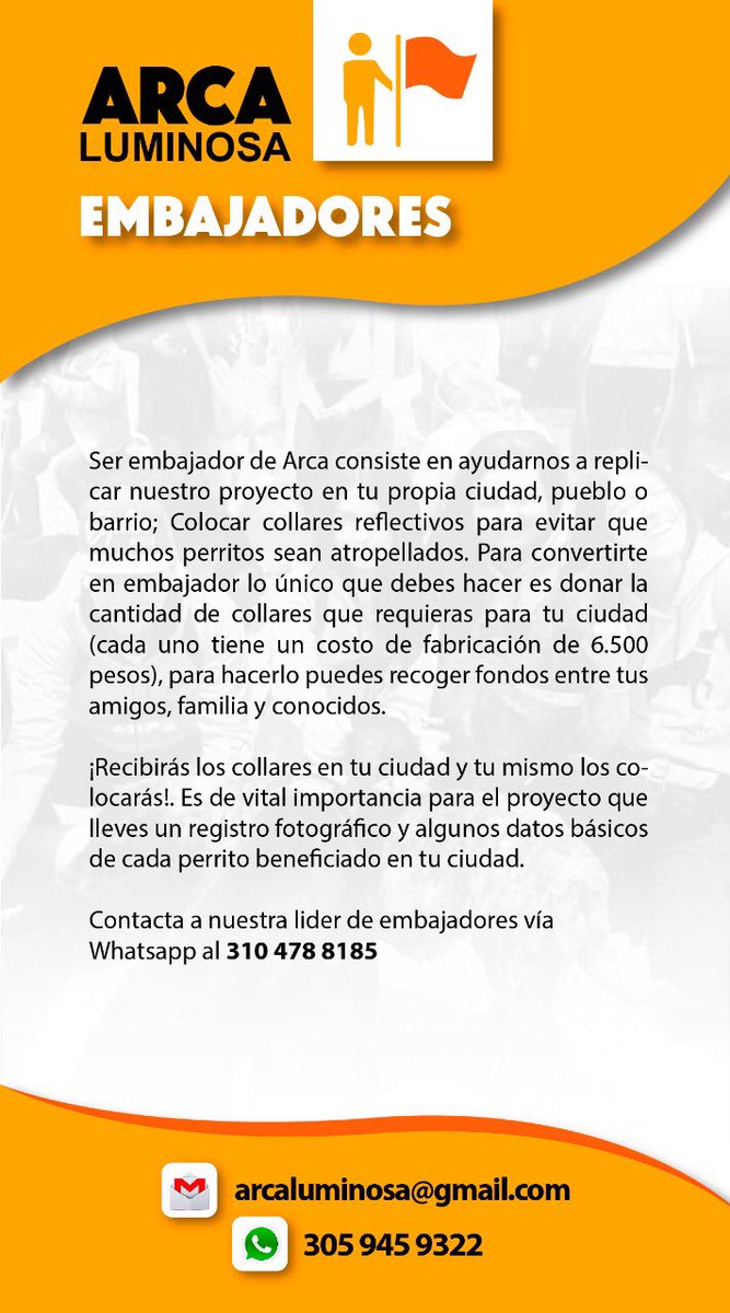 ArcaLuminosa's tweet photo. NO ESTOY PERDIDO, BUSCO UN HOGAR ¡ADÓPTAME!” 🐶 Con este completamos 3575 collares de vida colocados✨🙌🏻 si tú también quieres poner tus manos a la obra y colocar tu mismo los collares en tu barrio, participa como embajador, info en +57 (310) 478-8185💚 ¡JUNTOS ILUMINAMOS VIDAS! https://t.co/OlinWyH24T