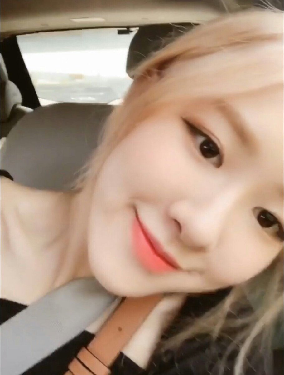 roselxprk's tweet photo. gud mowningg https://t.co/321HmK4JMU