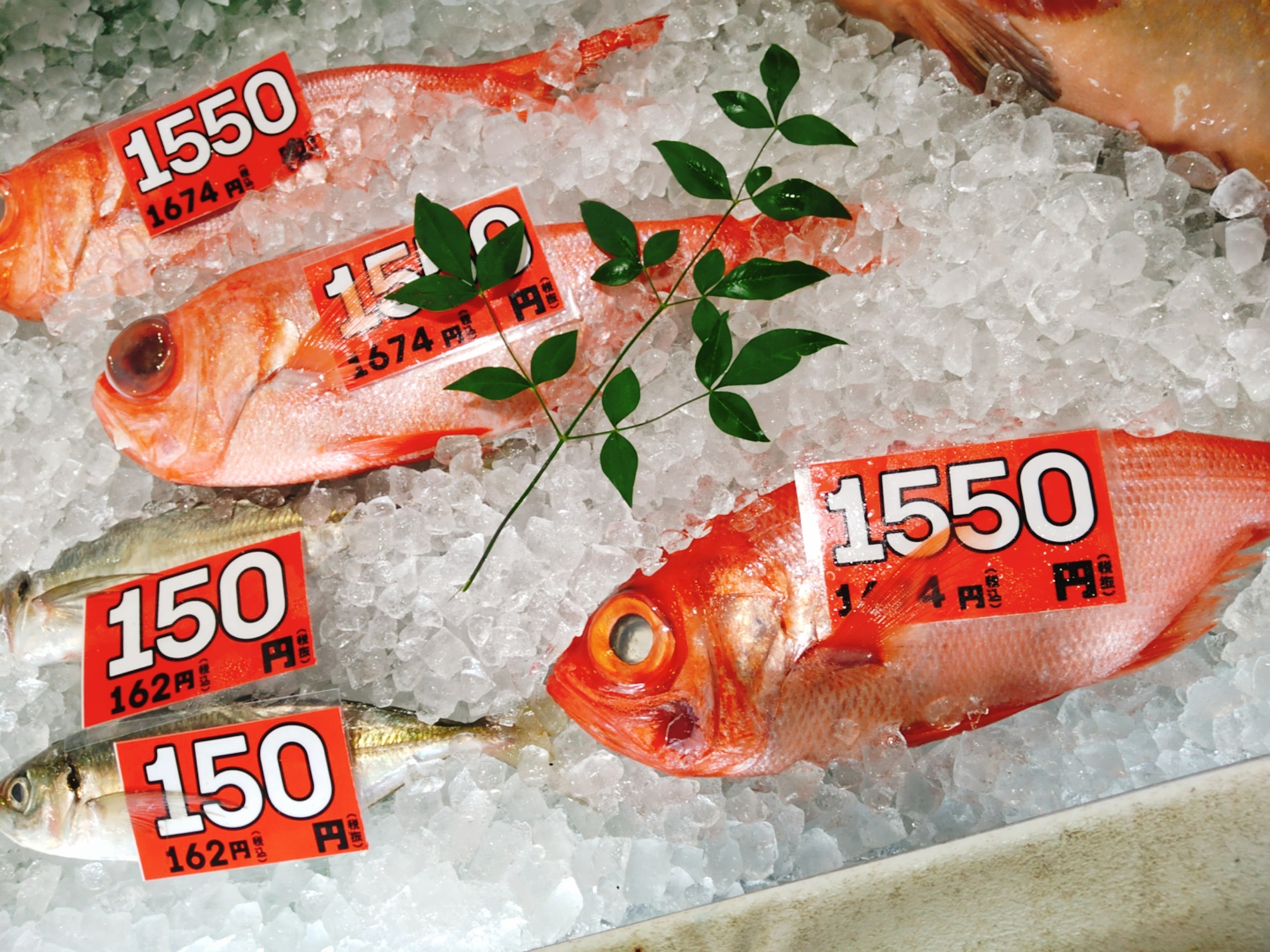 玉野魚市場 シーサイドマート おはようございます おすすめは秋刀魚の塩焼き 本日から数量限定でおまかせ海鮮丼が始まりました 天然鯛 サザエ サーモン ホタテ イクラ 車エビ シマアジ マグロの計8種類ものお魚が入っております 是非