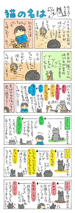 「呼び方進化論」
猫の目のように変わる呼び方。
猫本人たちもお気に入りの
呼ばれ方があったりして。
それとも、ただただ困惑でしょうか。笑
(久保智昭さんの「猫色スケッチブック」)他一枚更新しています。⇒https://t.co/m04g8DatoR 