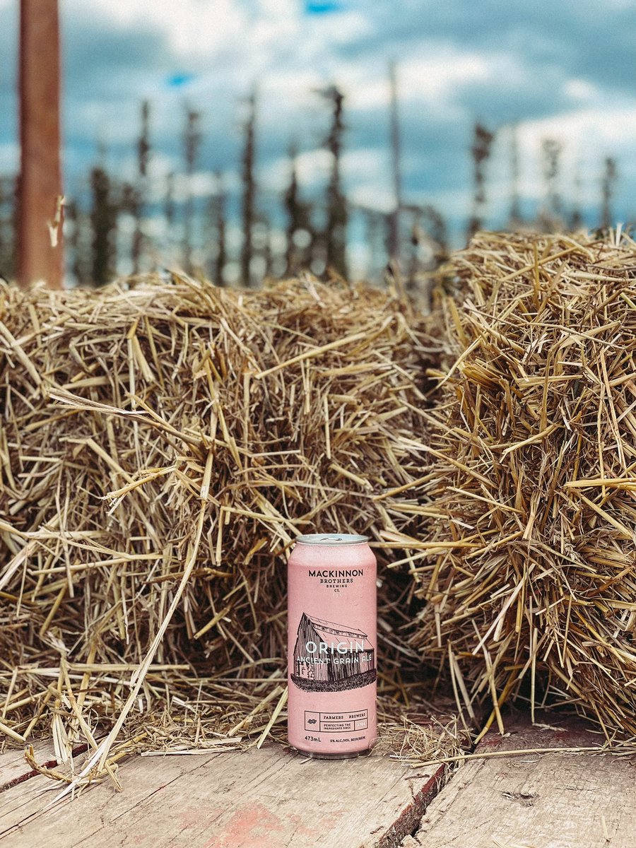 𝕆ℝ𝕀𝔾𝕀ℕ 𝔸ℕℂ𝕀𝔼ℕ𝕋 𝔾ℝ𝔸𝕀ℕ 𝔸𝕃𝔼

The new version of our Origin seasonal brew made with spelt grain 100% grown on the farm!

A unique, pure and refreshingly dry beer. 

AVAILABLE NOW. 

#mackinnonbrothersbrewing
#farmersandbrewers
#ontariofarmers