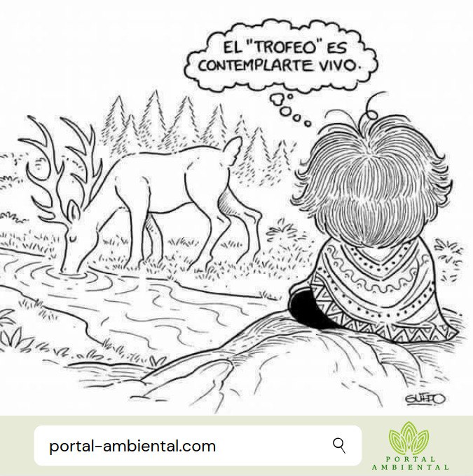_Ideas_Libres's tweet photo. #Conciencia https://t.co/P8z7rj2Rv5