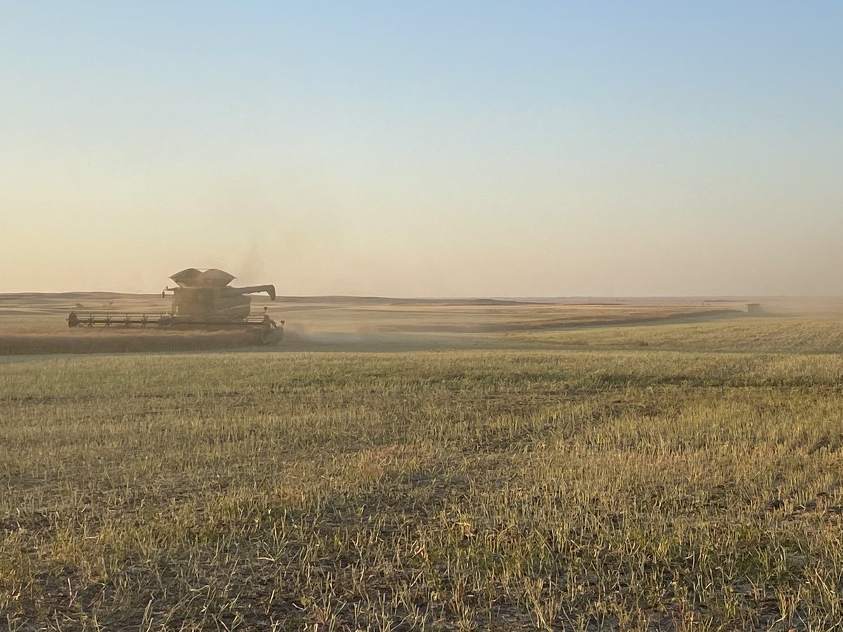 Riley Emmel tweet media