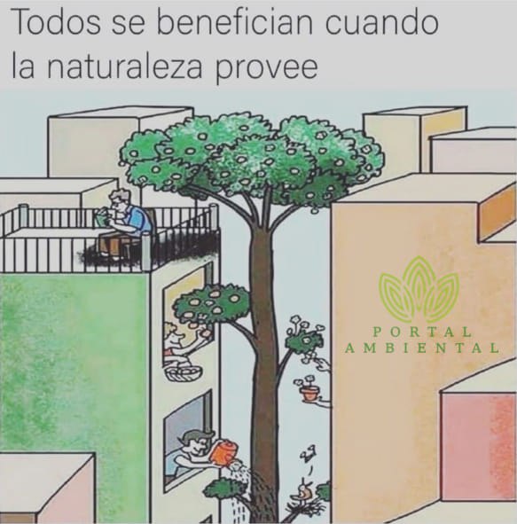 _Ideas_Libres's tweet photo. #Conciencia https://t.co/I8duQg8gf7