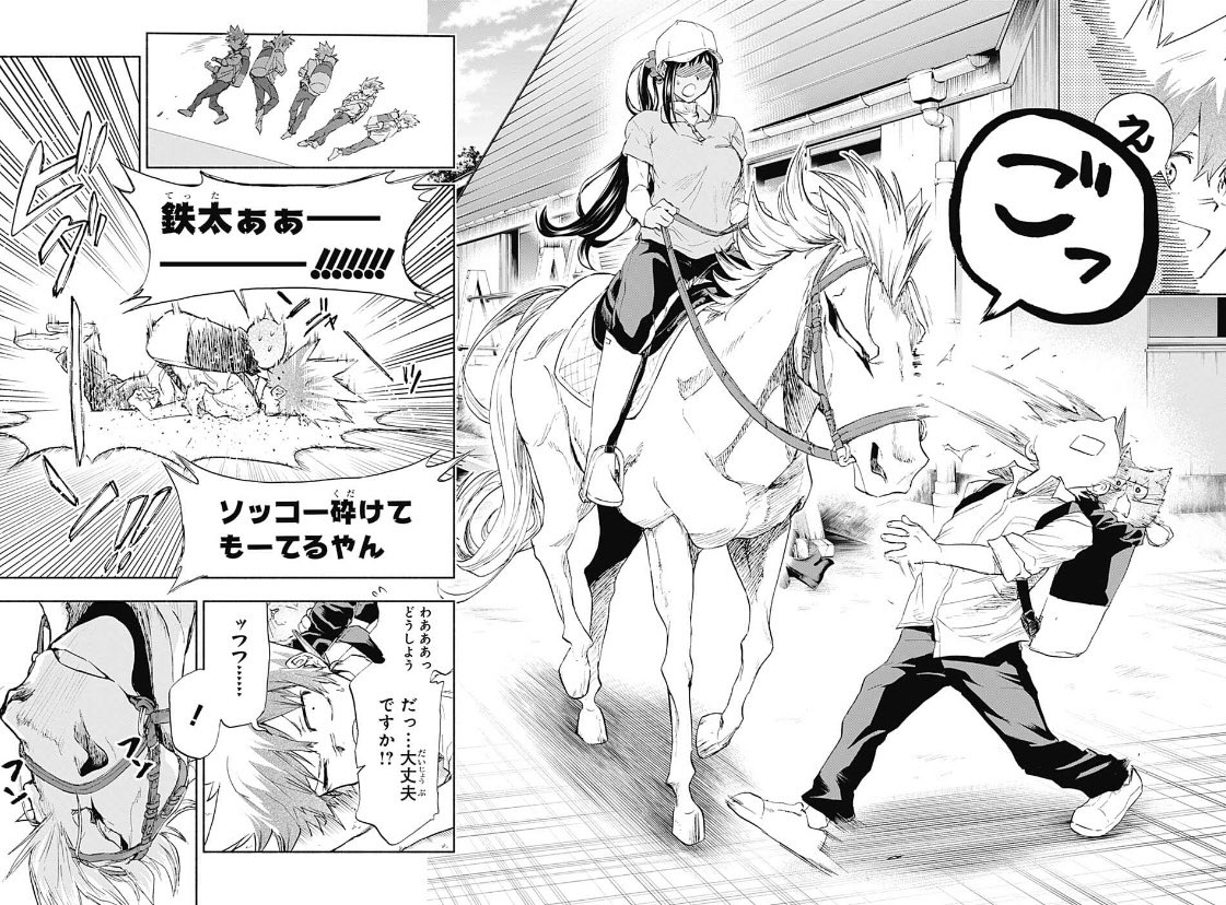 (2/11) 