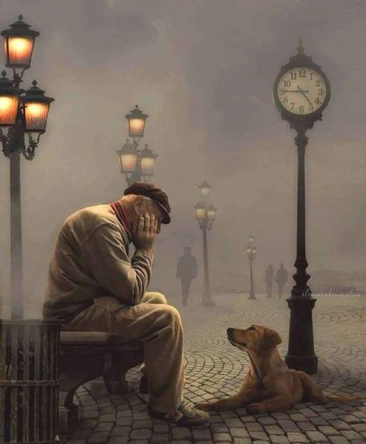 OlgaLosad's tweet photo. Los animales nos enseñan sobre el amor incondicional y a menudo dedican su vida entera a este fin.
- Brian Weiss, (Los milagros existen). https://t.co/IxXfGaKpT5