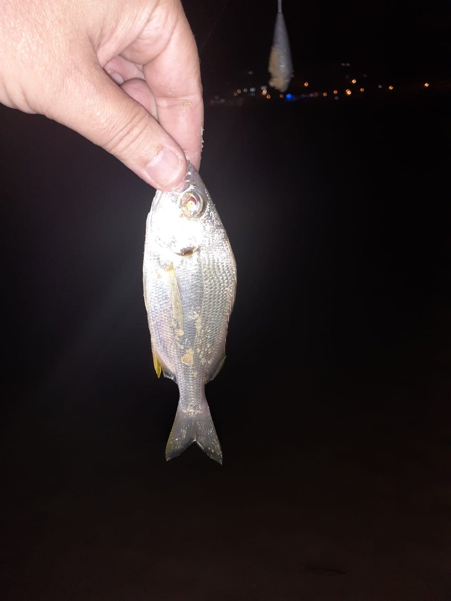 domi_tic's tweet photo. No puedo pensar en nada mejor que estar en Matalascañas pescando frente a Escorpio. https://t.co/K8PbtsGQV5