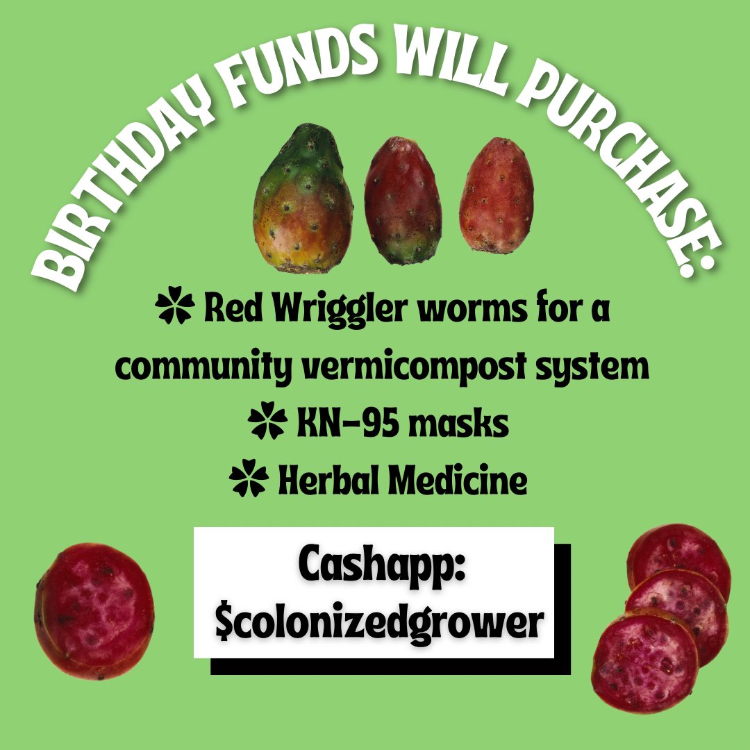 bigc0rn's tweet photo. Padiuxh! I’m an Indigenous food grower dedicated to liberating our people through food sovereignty. my birthday is next weekend &amp; I’d like to improve my community’s health by raising funds for the following: a vermicompost system, KN-95 masks &amp; herbal medicine!🥰🌱🌽 https://t.co/BwnQB9WfQp