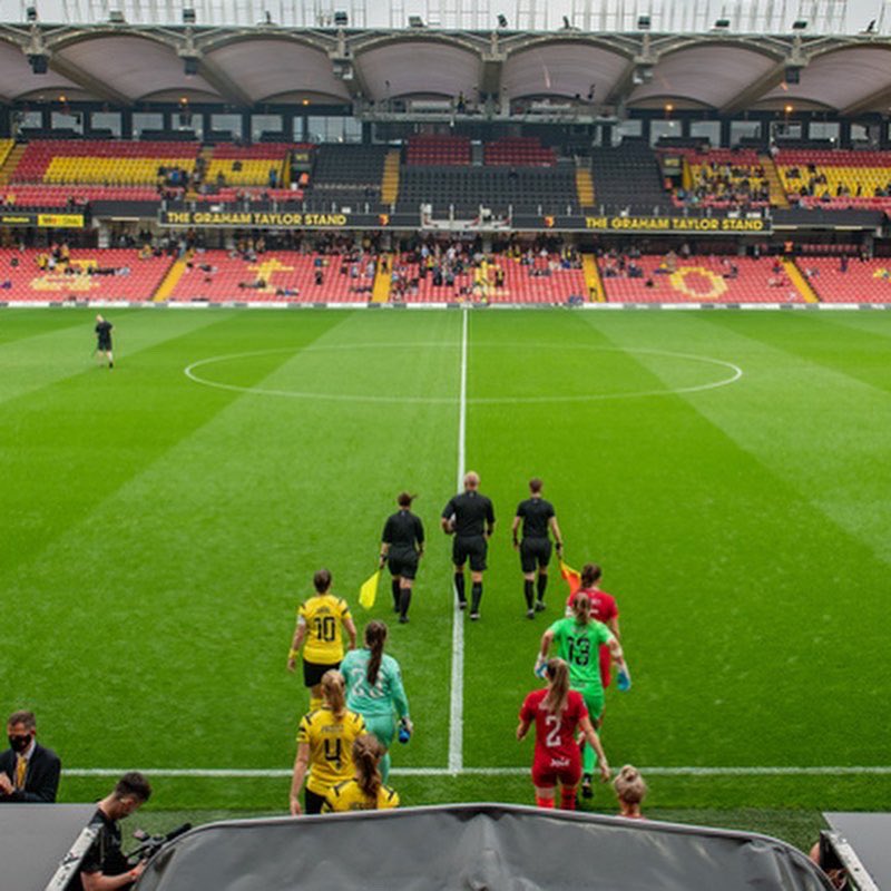 Helen Ward tweet media